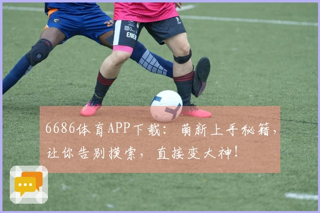 6686体育APP下载：萌新上手秘籍，让你告别摸索，直接变大神！