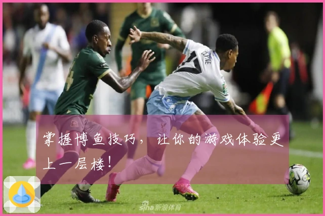掌握博鱼技巧，让你的游戏体验更上一层楼！